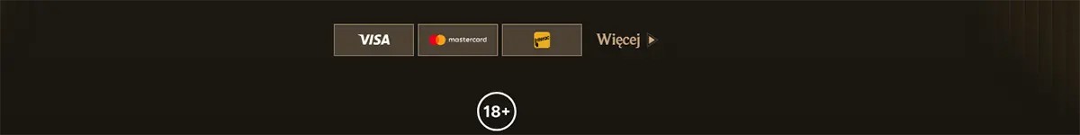 Payment methods footer with Visa, Mastercard, and Maestro icons, a “Więcej” link, and an 18+ badge on a dark background.