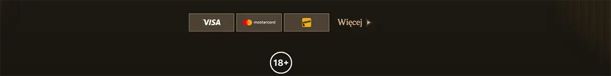 Payment methods footer with Visa, Mastercard, and Maestro icons, a “Więcej” link, and an 18+ badge on a dark background.